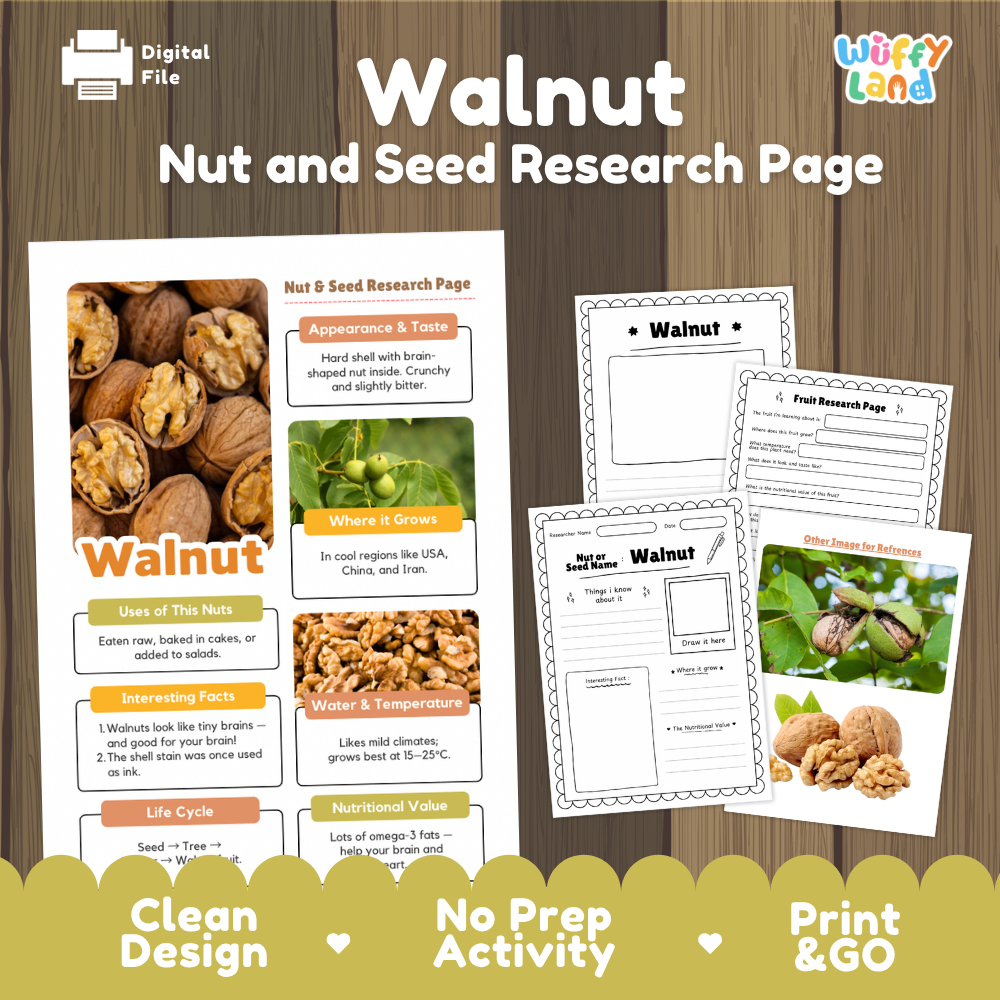 Digital worksheet preview for a 'Walnut Nut and Seed Research Page' from Wiffly Land, showing a printed page layout and several interior worksheet pages on a wood-textured background.