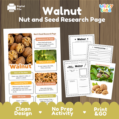 Digital worksheet preview for a 'Walnut Nut and Seed Research Page' from Wiffly Land, showing a printed page layout and several interior worksheet pages on a wood-textured background.