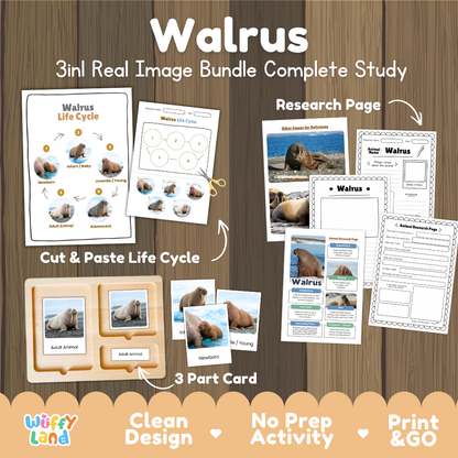 Walrus 3-in-1 real image bundle complete study cover showing cut and paste life cycle, 3 part cards, and research pages
