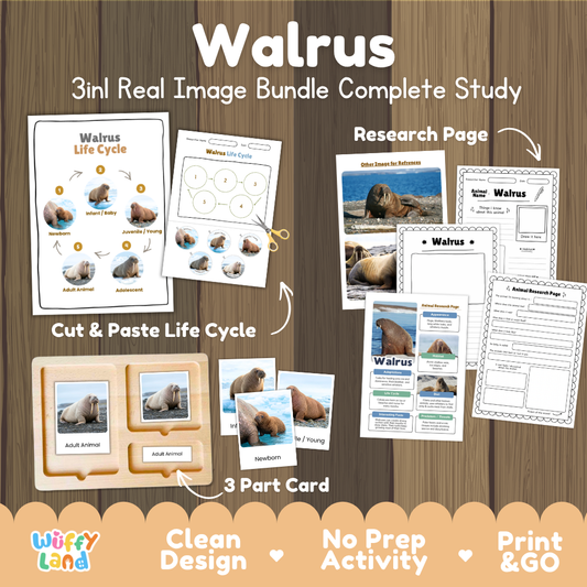 Walrus 3-in-1 real image bundle complete study cover showing cut and paste life cycle, 3 part cards, and research pages