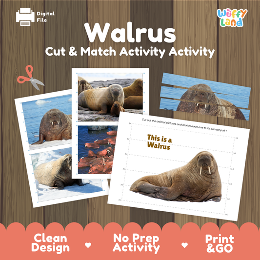 Walrus cut and match activity sheet set by Wiffy Land, featuring animal photos of walruses on a wood-textured background with printed sample cards and a digital file icon.