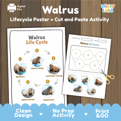 Walrus Life Cycle Poster and Cut and Paste Worksheet Activity