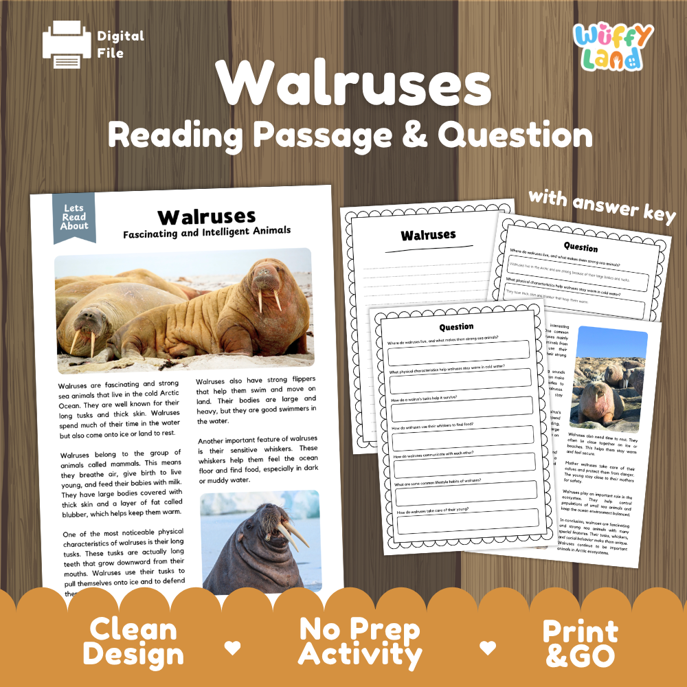 Walrushes reading activity packet cover and preview pages on a wood-grain background. The cover reads 'Walrushes Reading Passage & Question' with a 'Let's Read Aloud' logo and 'Wiffy Land' branding.