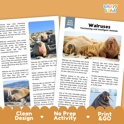 Two educational activity sheets for children about walruses, displayed on a light gray background with decorative corner graphics. The left sheet features a blue photo of a walrus, and the right sheet features a photo of a walrus on sand with text reading 'Walruses Fascinating and Intelligent Animals.