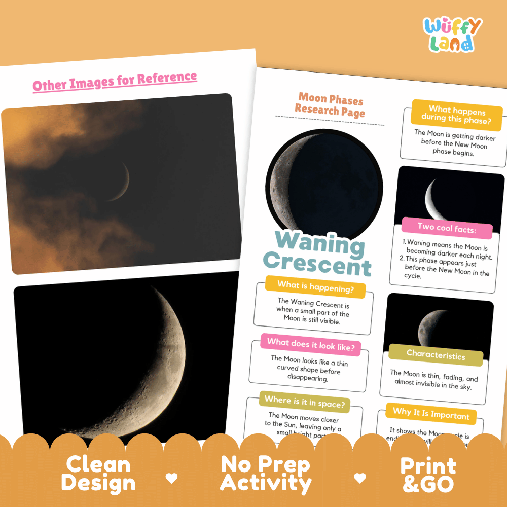 An educational activity sheet about moon phases titled 'Waning Crescent' with text boxes, moon phase photos, and a 'Wiffle Land' logo in the top right. The sheet is shown on a peach background with an orange banner at the bottom reading 'Clean Design', 'No Prep Activity', and 'Print & GO'.