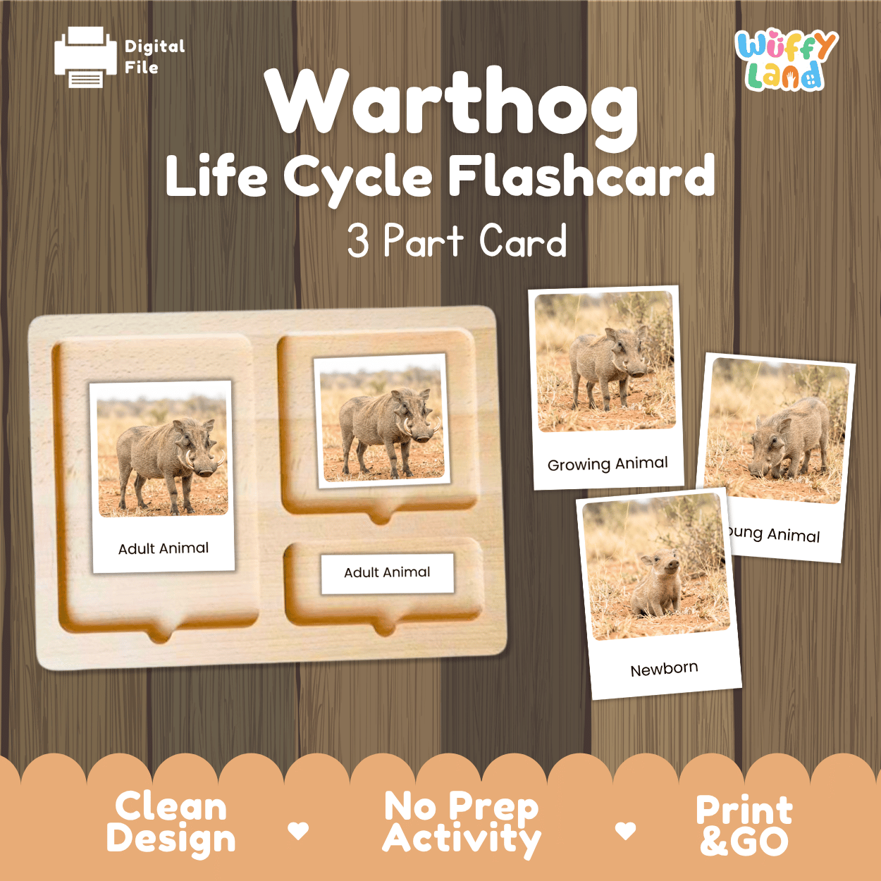 Warthog Life Cycle Flashcard set by Wiffy Land, featuring a 3-part wooden card tray with photos of warthogs at different life stages (adult, growing, newborn) on a brown wood-textured background.