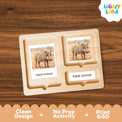 A wooden activity board with two labeled slots reading 'Adult Animal,' each holding a photo card of an adult animal, shown on a wood-grain background. The Wuffy Land logo appears in the top right, and a decorative banner at the bottom highlights 'Clean Design,' 'No Prep Activity,' and 'Print & GO.