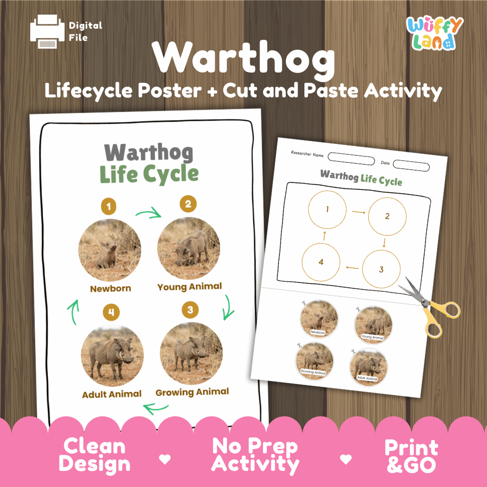 Warthog Life Cycle Poster and Cut and Paste Activity Worksheets