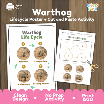 Warthog Life Cycle Poster and Cut and Paste Activity Worksheets