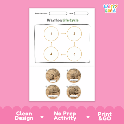 Warthog Life Cycle Poster and Cut and Paste Activity Worksheets