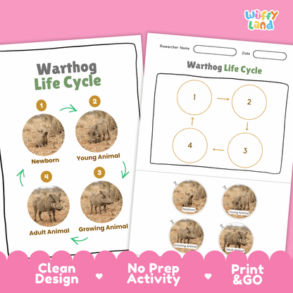 Warthog Life Cycle Poster and Cut and Paste Activity Worksheets