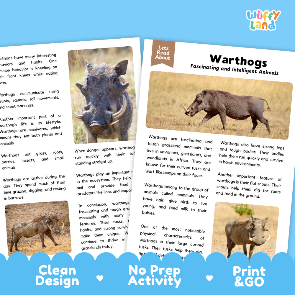 A children's educational activity sheet about warthogs from the brand Wiffly Land. The page features a color photograph of two warthogs on a grassy hill, accompanied by educational text and three colored circles at the bottom labeled 'Clean Design', 'No Prep Activity', and 'Print & Go'.