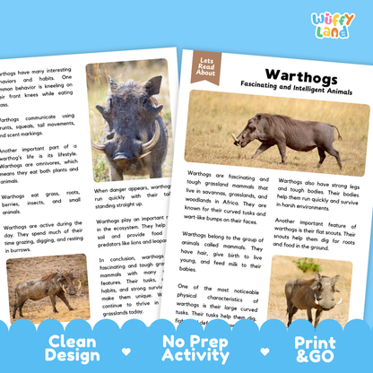 A children's educational activity sheet about warthogs from the brand Wiffly Land. The page features a color photograph of two warthogs on a grassy hill, accompanied by educational text and three colored circles at the bottom labeled 'Clean Design', 'No Prep Activity', and 'Print & Go'.