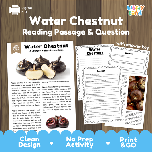 Water chestnut reading comprehension passage and questions printable activity pack with answer key for elementary students
