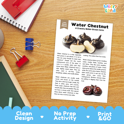 Student reading comprehension worksheet with short-answer questions and lined sections about water chestnut corm vegetables