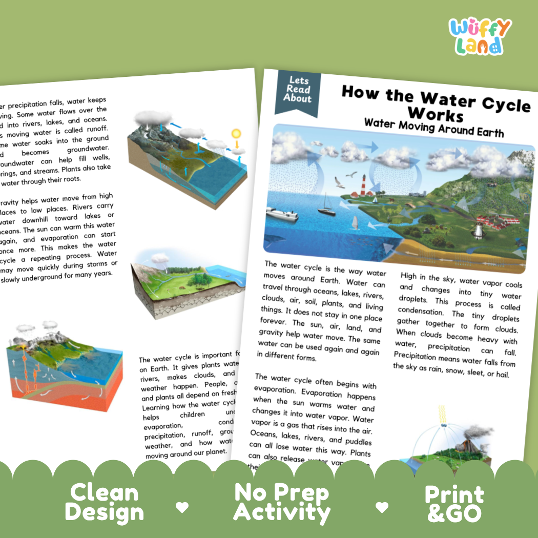 Complete teacher answer key worksheet providing detailed model responses for water cycle comprehension questions