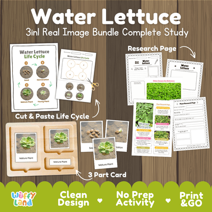 Water lettuce plant 3in1 real image bundle complete study printable featuring life cycle cut and paste worksheets, Montessori 3-part cards, and research pages