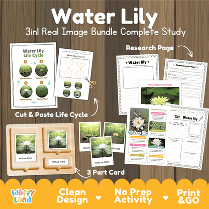 Water lily plant 3in1 real image bundle complete study printable featuring life cycle cut and paste worksheets, Montessori 3-part cards, and research pages