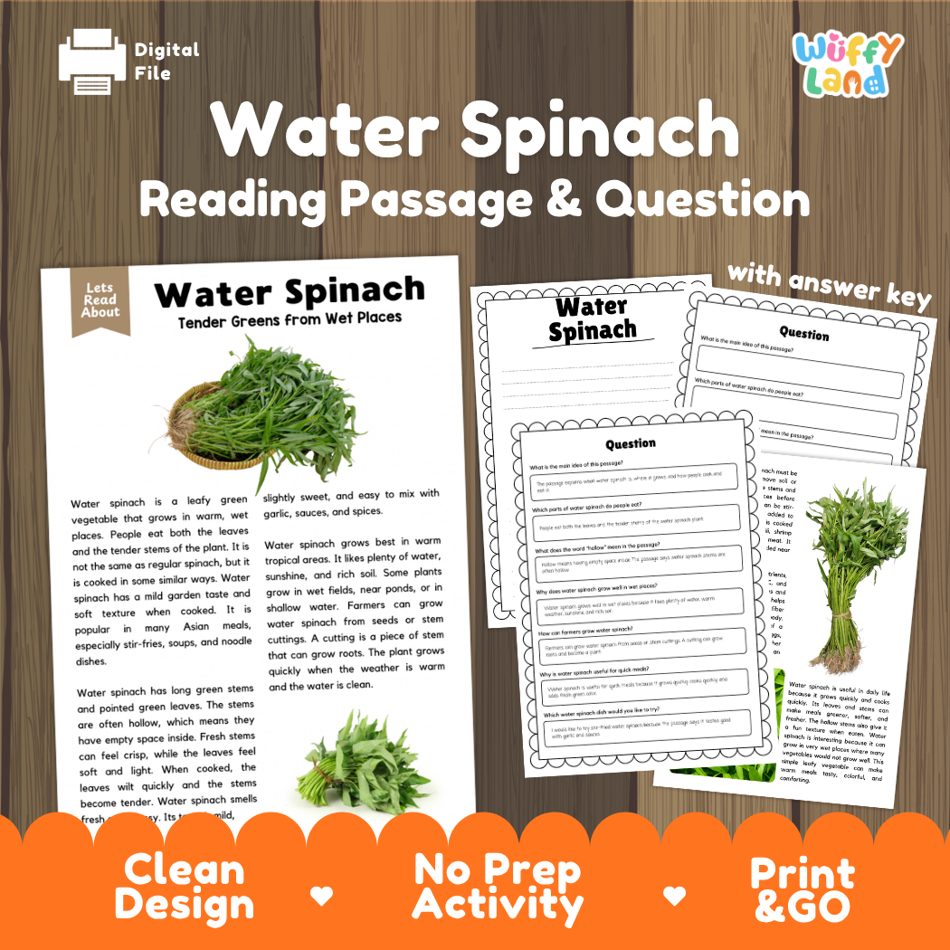 Water spinach reading comprehension passage and questions printable activity pack with answer key for elementary students