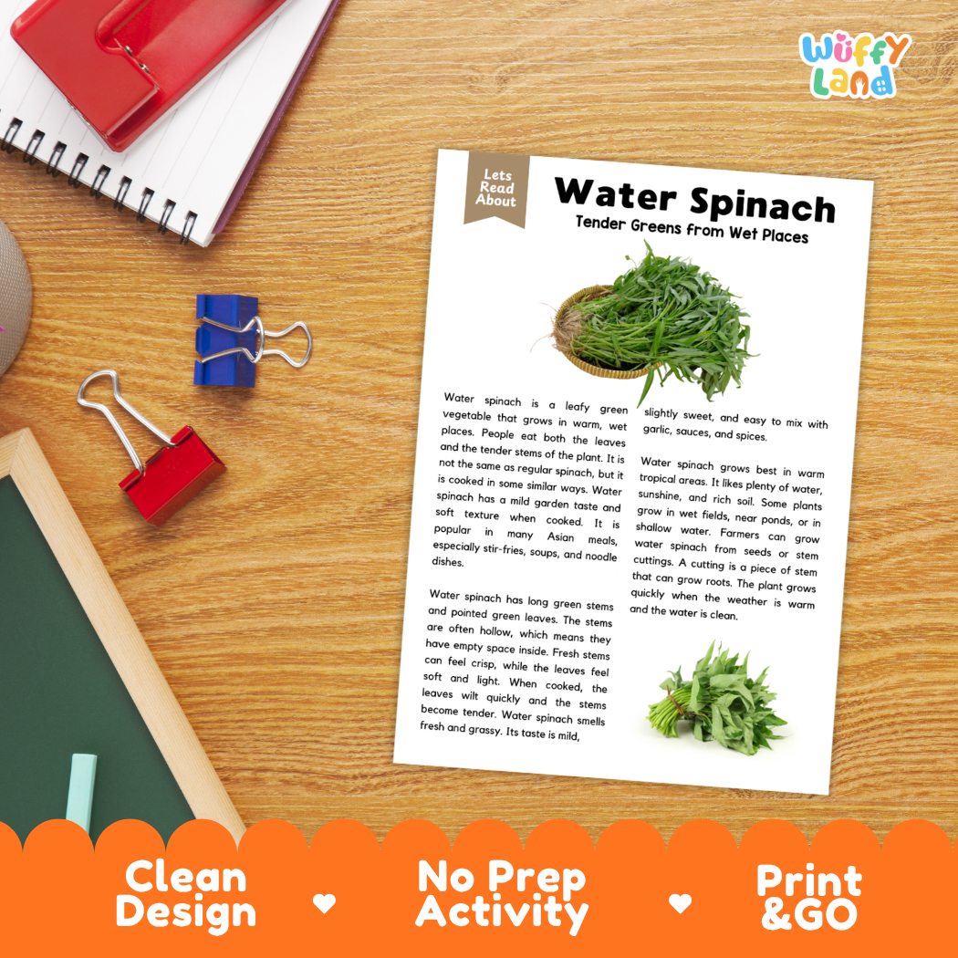 Student reading comprehension worksheet with short-answer questions and lined sections about water spinach vegetables