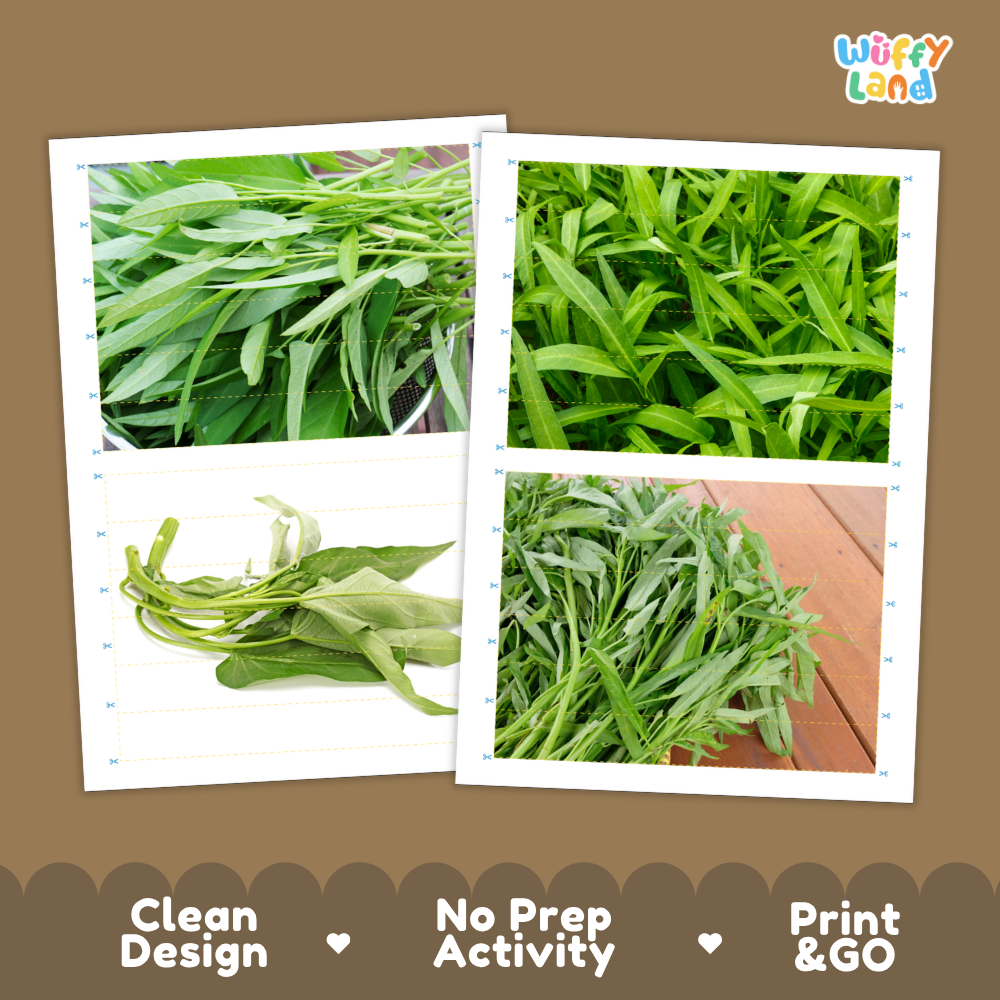 Printable activity sheets featuring photographic water spinach puzzle boards and cutting guides