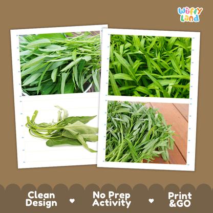 Printable activity sheets featuring photographic water spinach puzzle boards and cutting guides