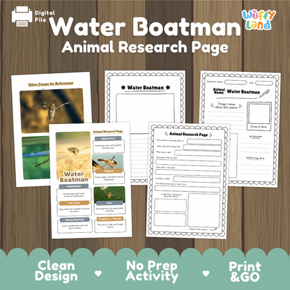 Water Boatman Animal Research Worksheets and Informational Fact Sheets