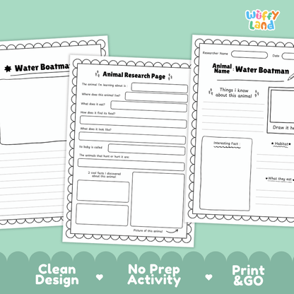 Water Boatman Animal Research Worksheets and Informational Fact Sheets