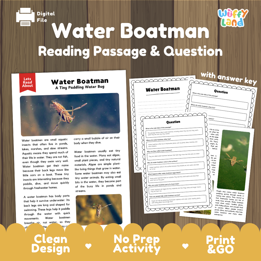 Water Boatman Reading Passage and Comprehension Questions with Answer Key