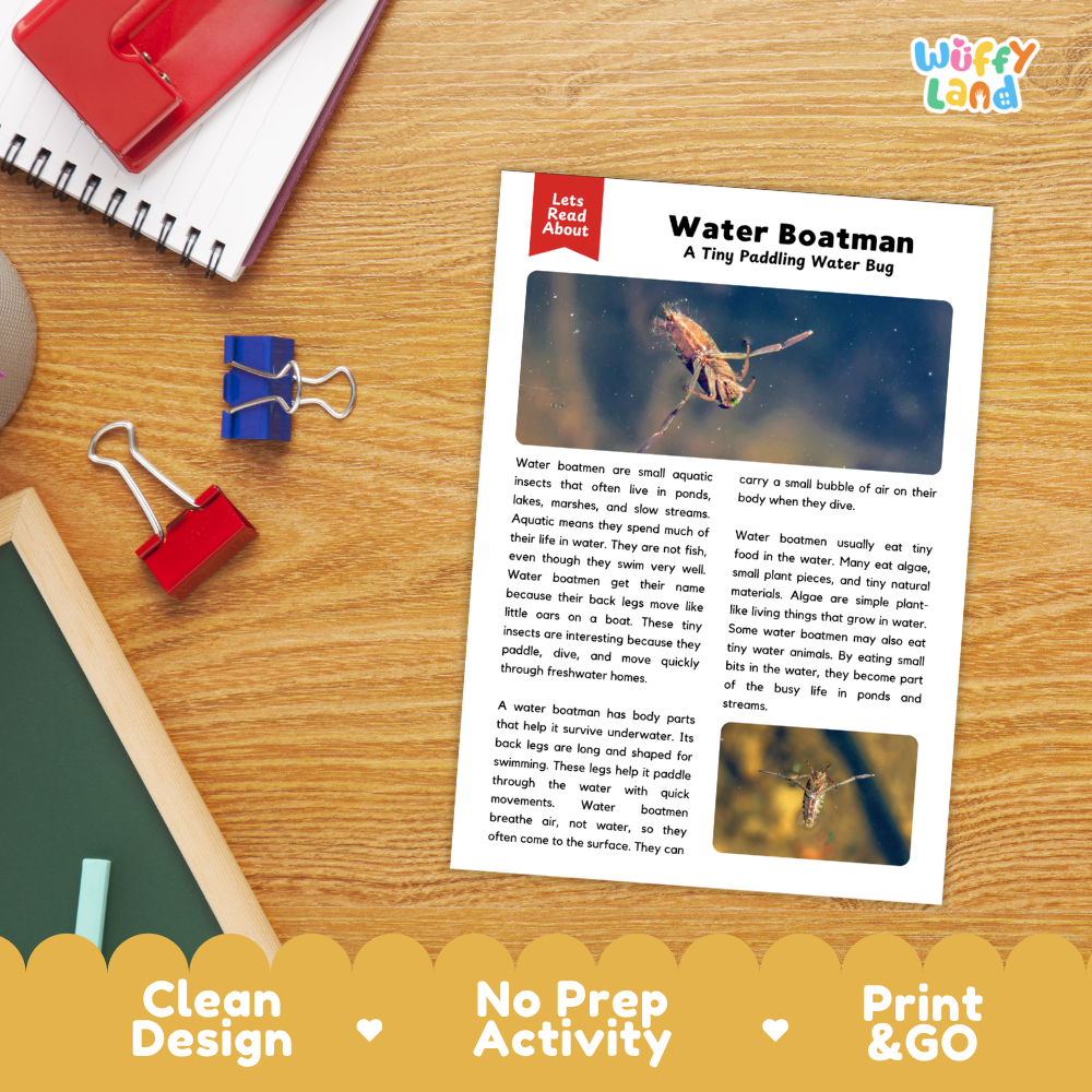 Water Boatman Reading Passage and Comprehension Questions with Answer Key