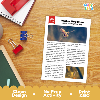 Water Boatman Reading Passage and Comprehension Questions with Answer Key