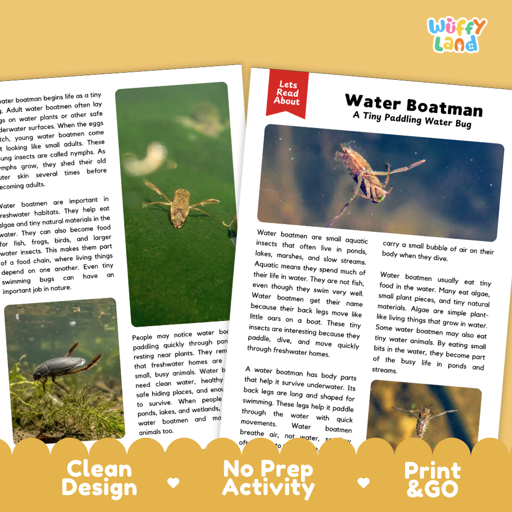 Water Boatman Reading Passage and Comprehension Questions with Answer Key
