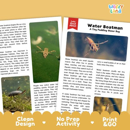 Water Boatman Reading Passage and Comprehension Questions with Answer Key