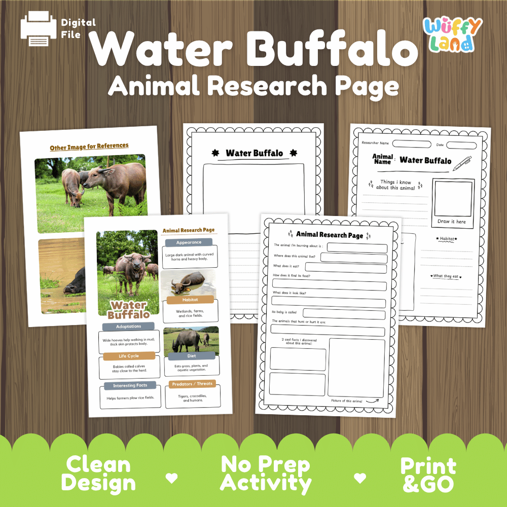 Water Buffalo Animal Research Worksheets and Informational Fact Sheets
