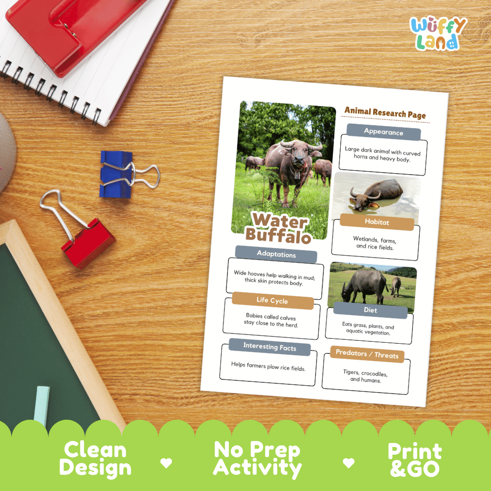 Water Buffalo Animal Research Worksheets and Informational Fact Sheets