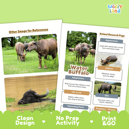 Water Buffalo Animal Research Worksheets and Informational Fact Sheets
