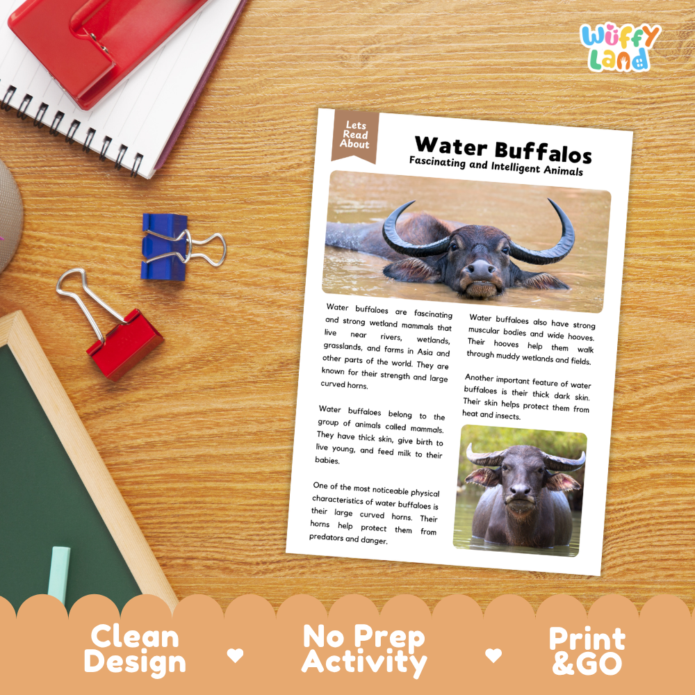 An educational activity sheet titled 'Water Buffalos' laid flat on a wooden desk, surrounded by stationery props including a spiral notebook, a red notebook, blue and red binder clips, and a pen. The sheet includes text and photos of water buffaloes.