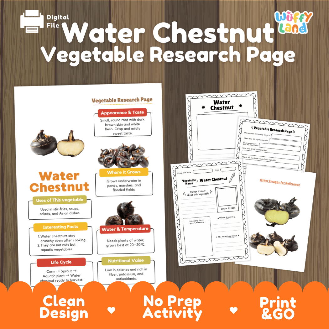 Water Chestnut Vegetable Research Worksheets and Informational Fact Sheets