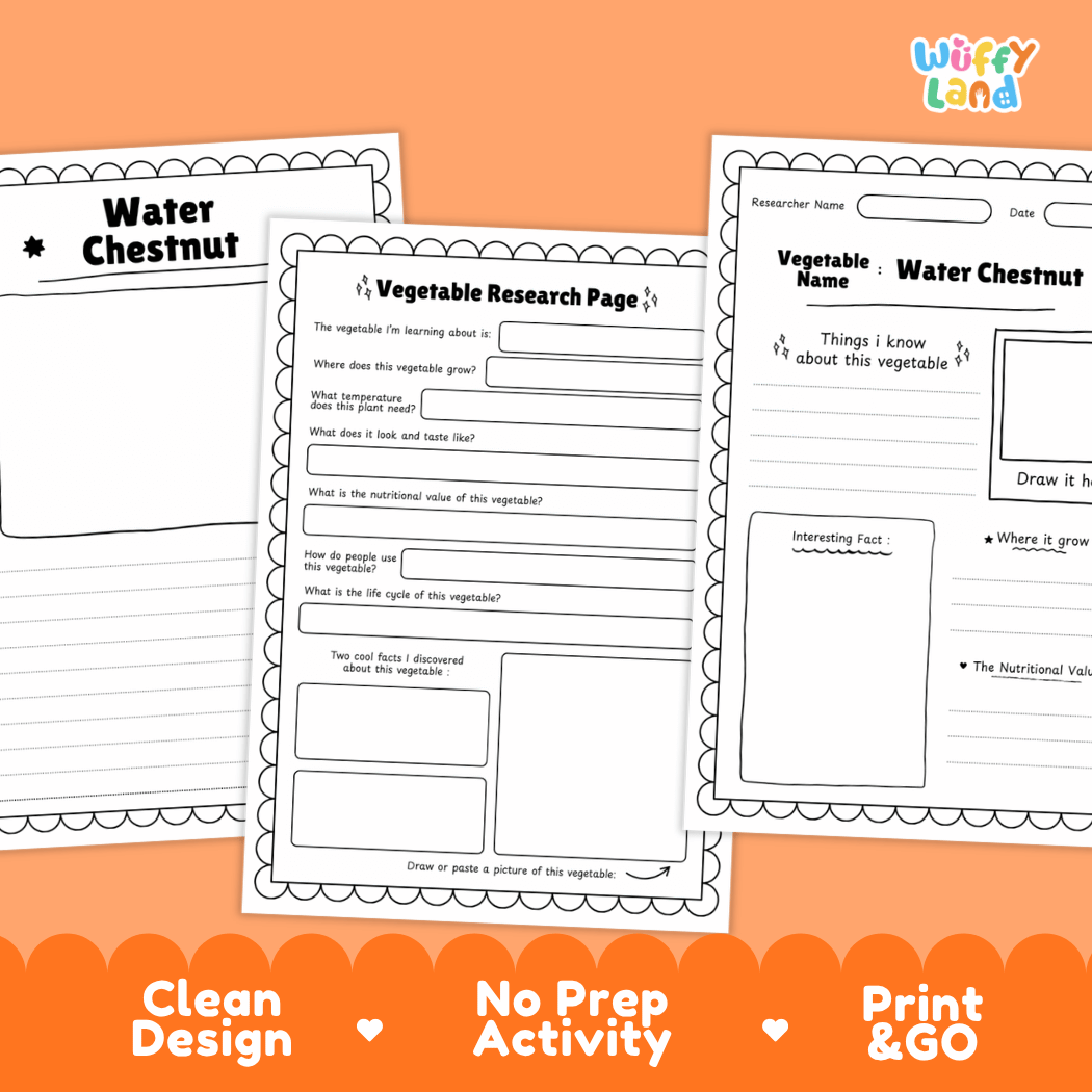 Water Chestnut Vegetable Research Worksheets and Informational Fact Sheets