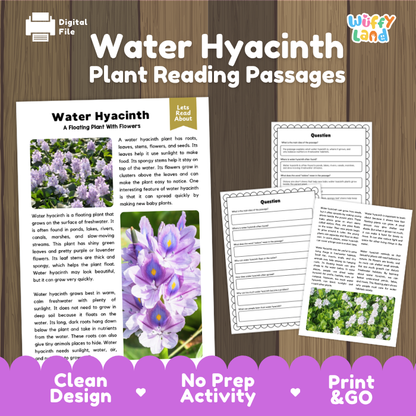 Water Hyacinth Plant Reading Passages and Comprehension Questions Worksheets