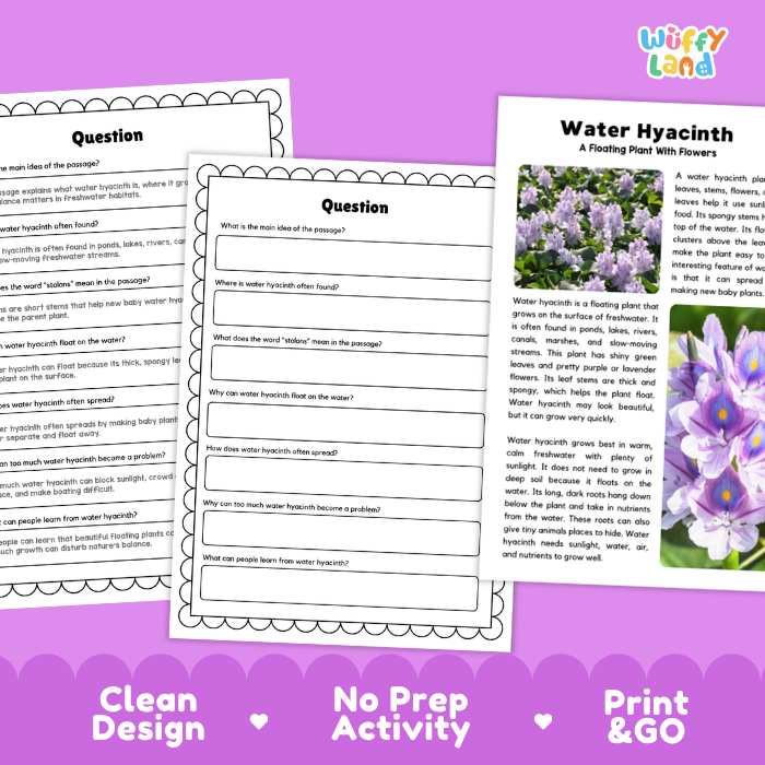 Water Hyacinth Plant Reading Passages and Comprehension Questions Worksheets