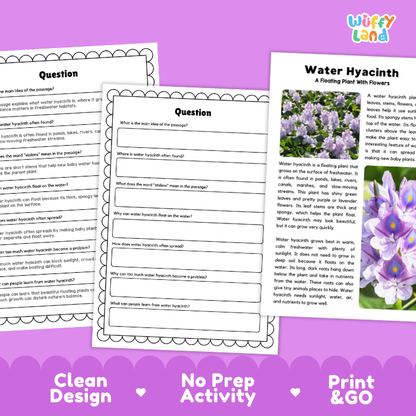 Water Hyacinth Plant Reading Passages and Comprehension Questions Worksheets