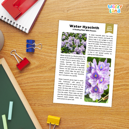 Water Hyacinth Plant Reading Passages and Comprehension Questions Worksheets
