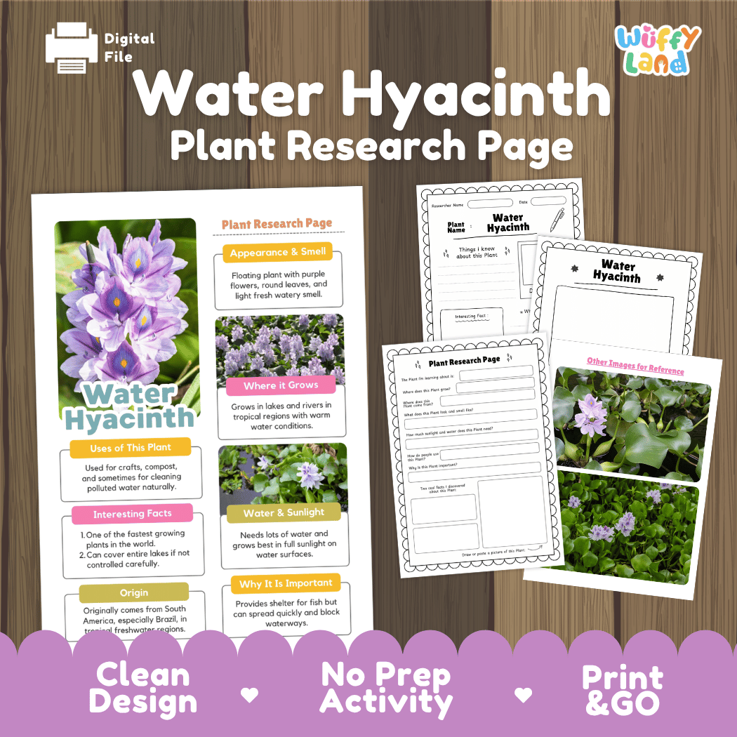 Water Hyacinth Plant Research Pages and Worksheets
