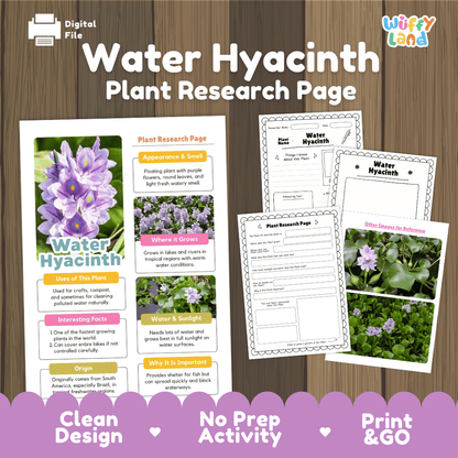 Water Hyacinth Plant Research Pages and Worksheets