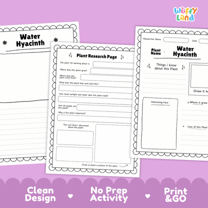 Water Hyacinth Plant Research Pages and Worksheets