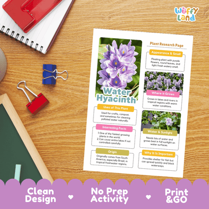Water Hyacinth Plant Research Pages and Worksheets