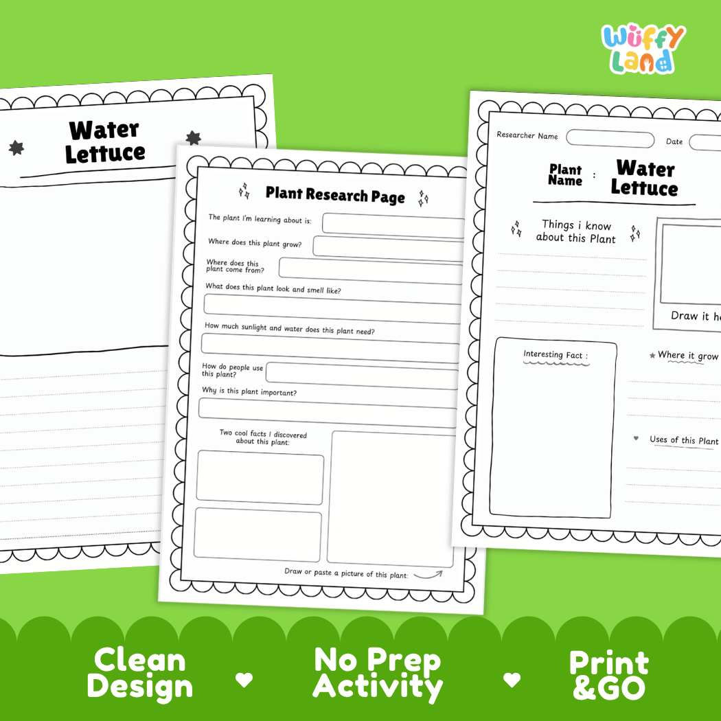 Three printable worksheet pages for plant research about water lettuce, shown on a bright green background with the brand name Wiffi Land in the top right. The pages are white with black text and border lines, and the bottom has green banners with the text 'Clean Design', 'No Prep Activity', and 'Print & GO'.