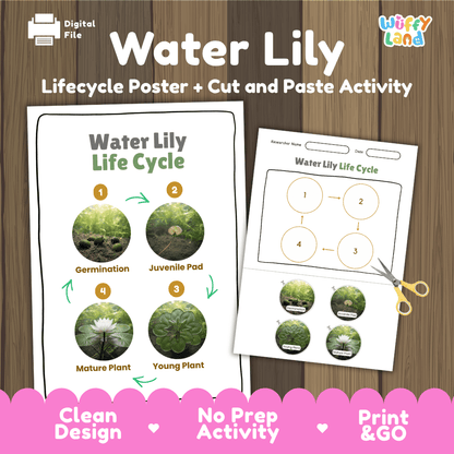 Water Lily Life Cycle Poster and Cut and Paste Activity Worksheets