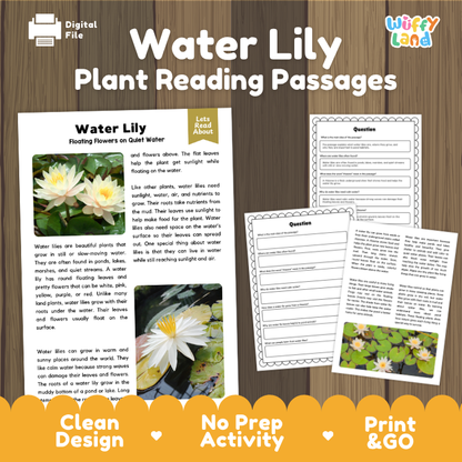 Water Lily Plant Reading Passages and Comprehension Questions Worksheets